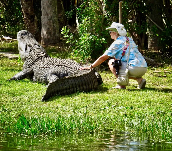 rs=w_600,cg_true (1)