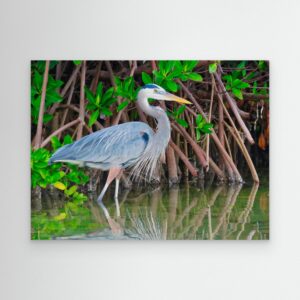 Cool Blue Heron