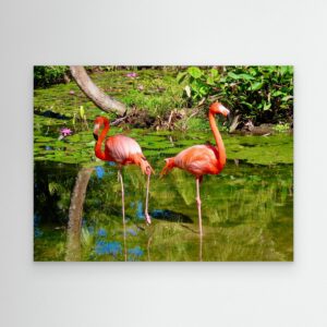 Pink Flamingo x 2