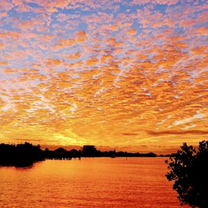 Golden Harbor Sunrise