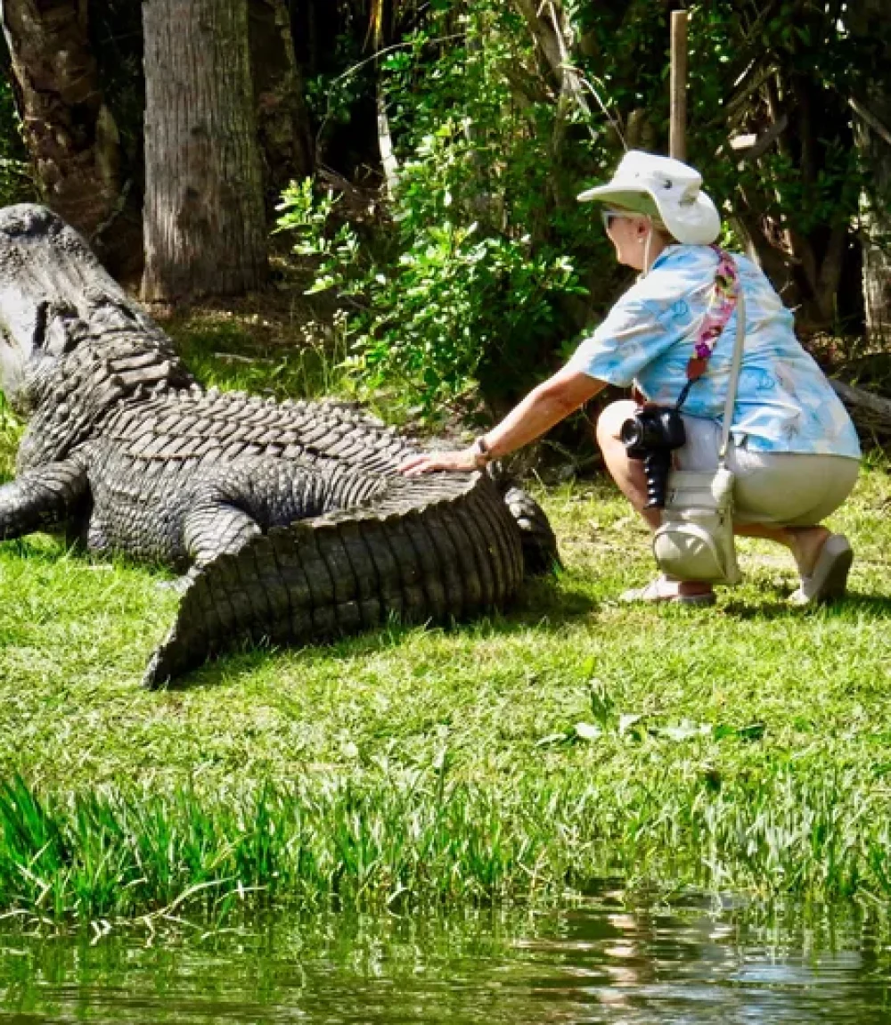 rs=w_600,cg_true (1)